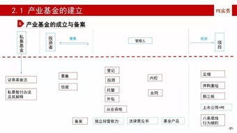 产业基金的建立、投资、投后管理与风险控制及投资管理与咨询