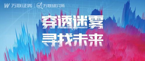 万联证券年度A股投资策略报告 纺织服装行业投资管理与咨询深度解读